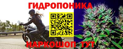 трава Будённовск
