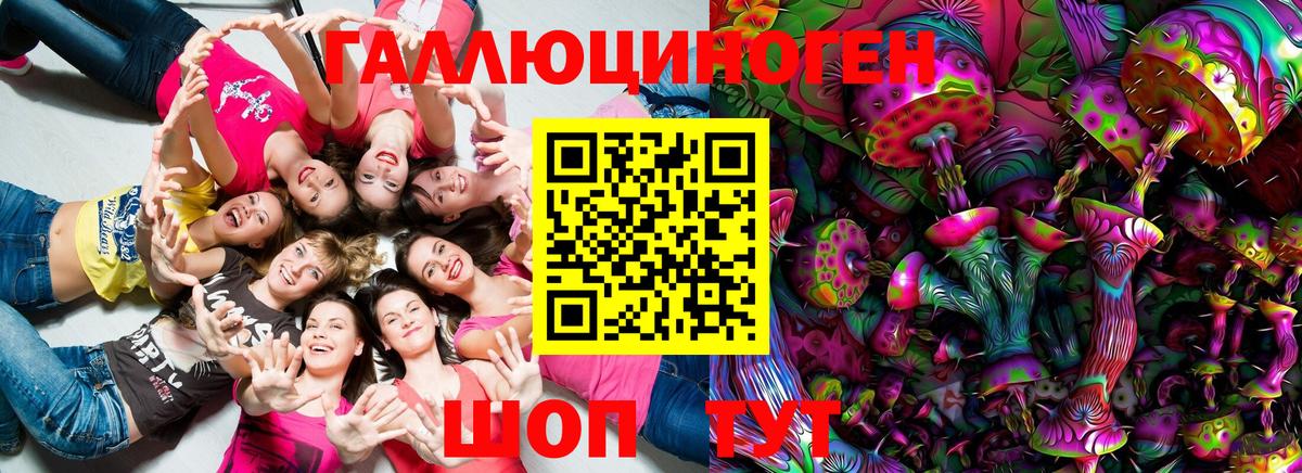 Галлюциногенные грибы Psilocybe  Вход с VPN  Свободный 